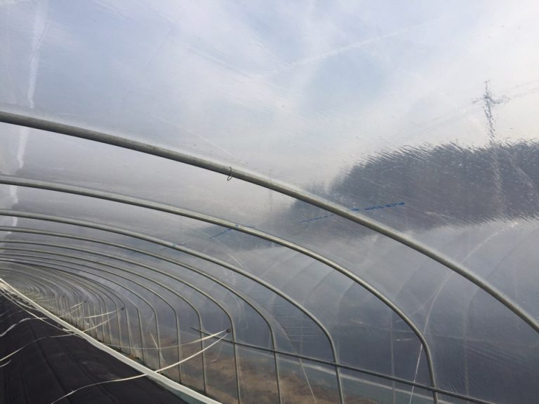 Orega Coating - Aicello Milim